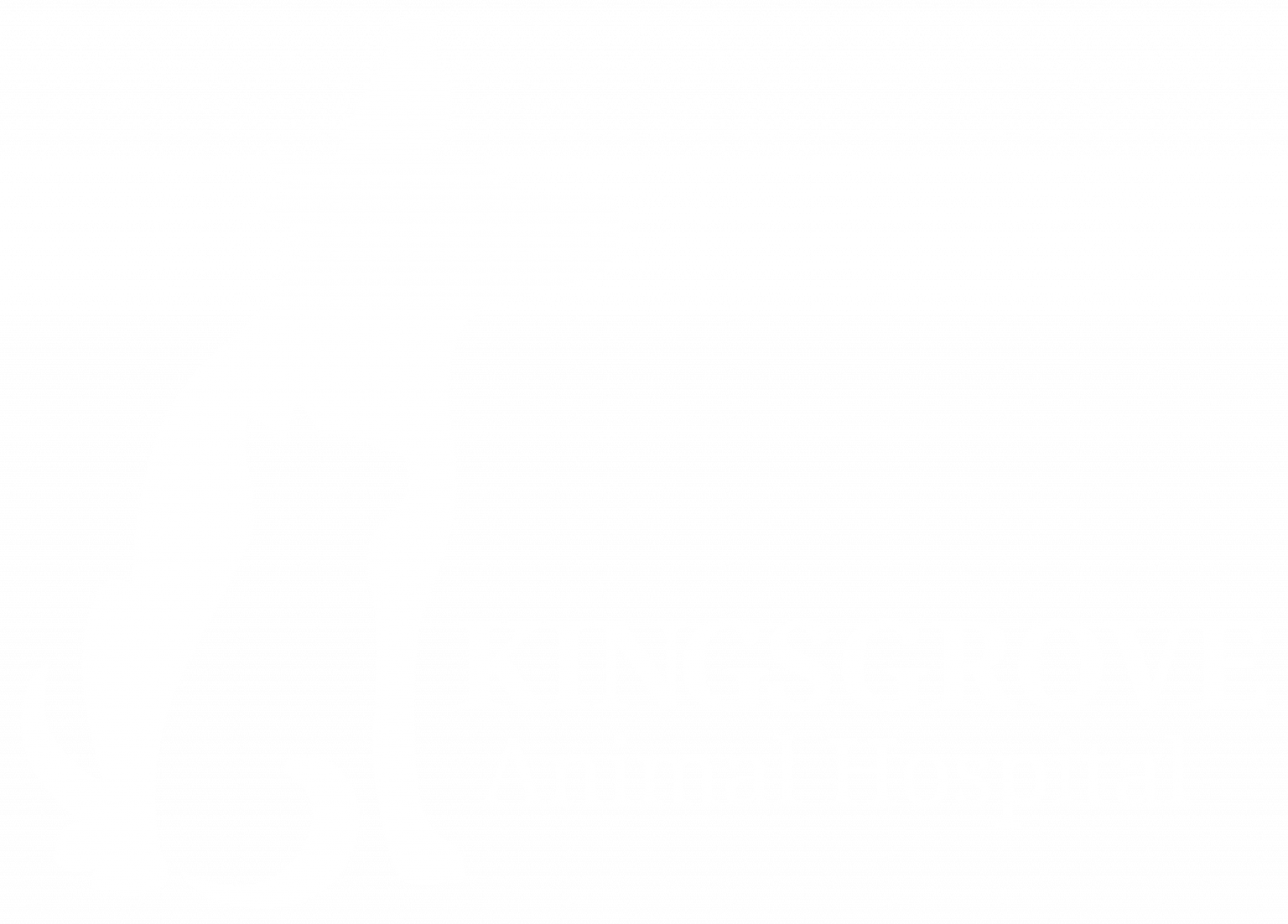 Kingsgrove Animal Hospital What Food Should I Feed My Pet?