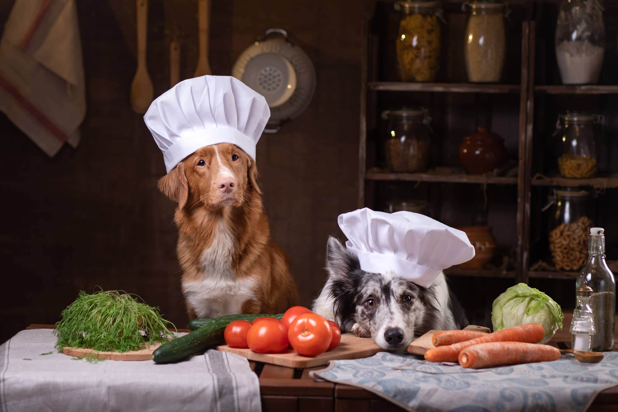 is a raw diet better for dogs